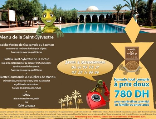 Votre réveillon 2014 à Manzil La Tortue