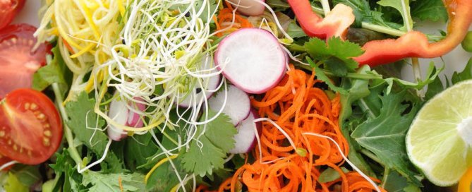 alimentation vivante